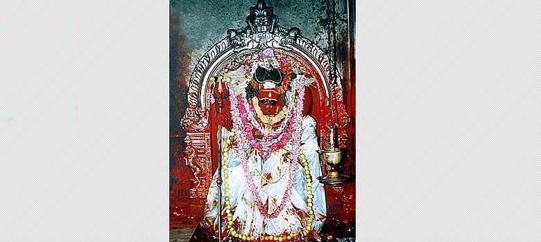 ஆடி அமாவாசை: சிதம்பரம் தில்லைக்காளிக்கு மகாபிஷேகம்!